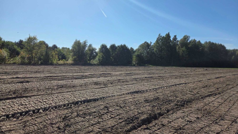 Działka nad rzeką Rawka przy lesie