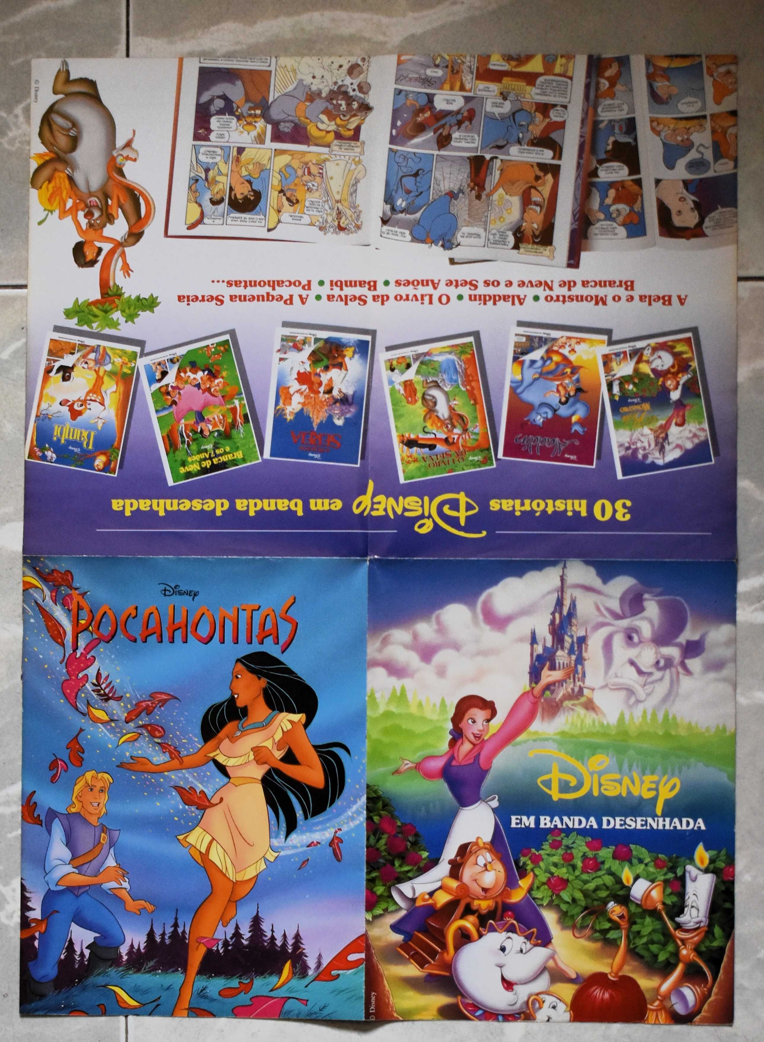 Cinema: Poster do filme "Pocahontas" (1995)