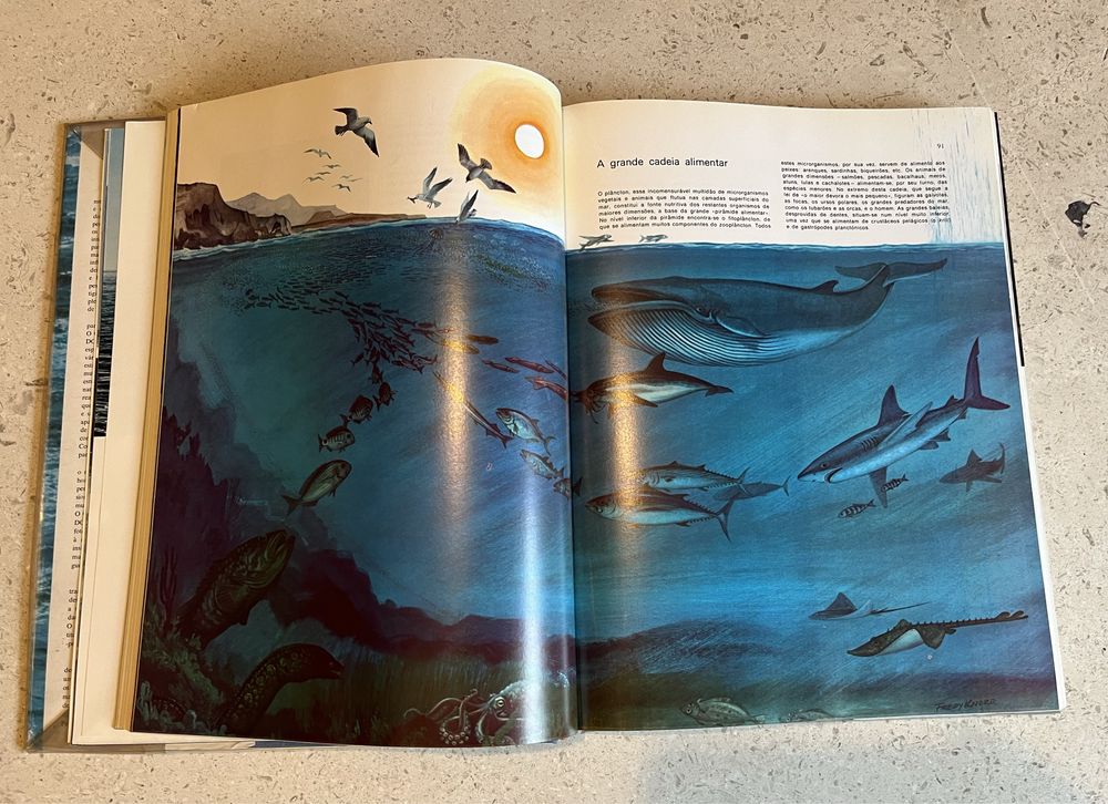 O grande livro dos oceanos