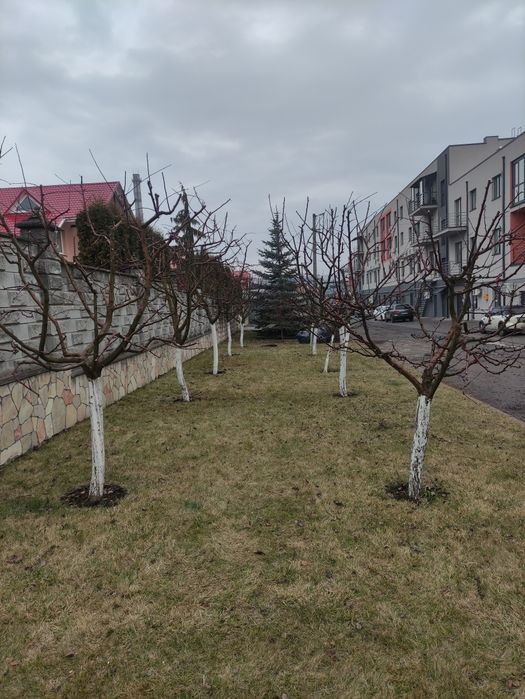 Ландшафтний дизайн