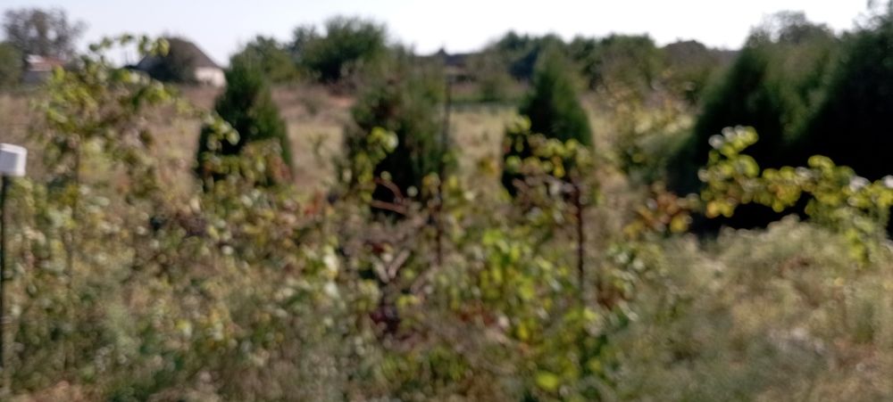 Дом в  Разумовке