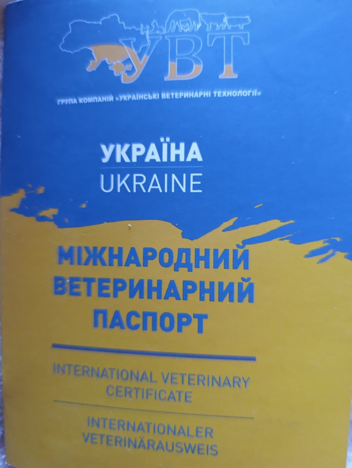 Американський підбультерєр.