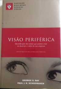 Livro de gestão: "Visão Periférica"