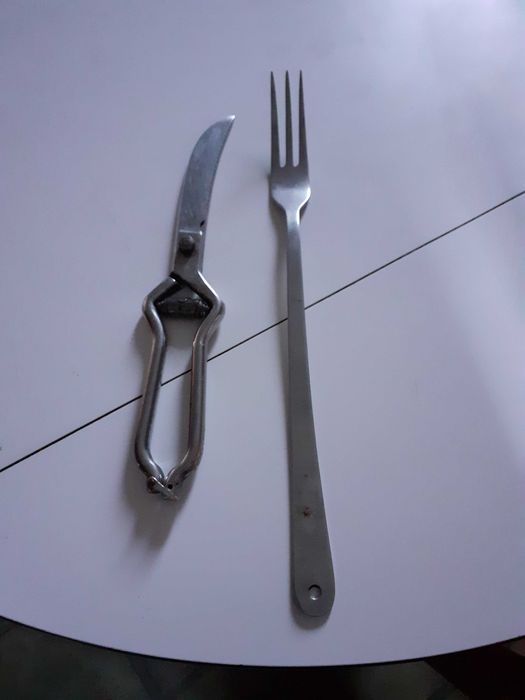 Conjunto de tesoura e grafo para frangos