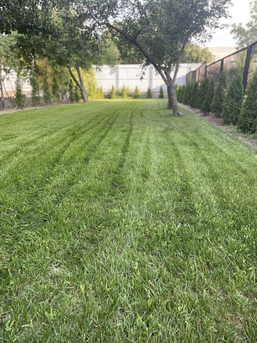 Спил деревьев,дробление измельчение веток,вывоз,культивация мотоблоком