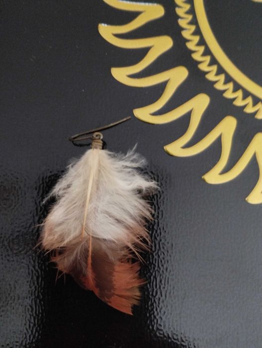 brinco com pena branca e castanha