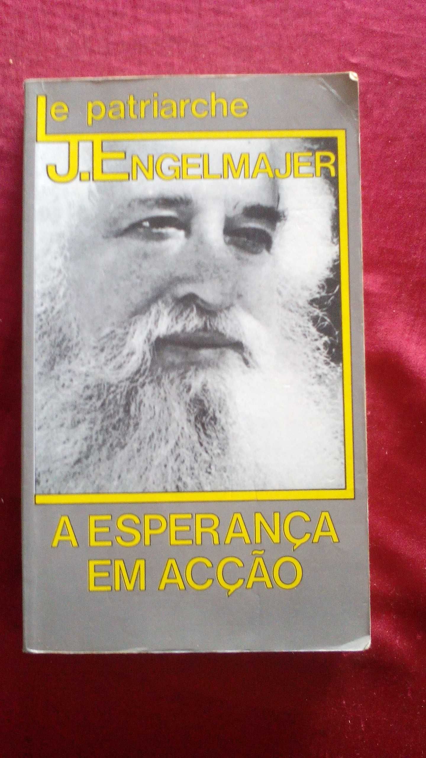 A Esperança em Acção, de Lucien J. Engelmajer