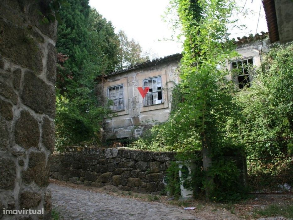 Quinta em região demarcada do Dão