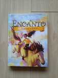 Livro-o enigma do fogo