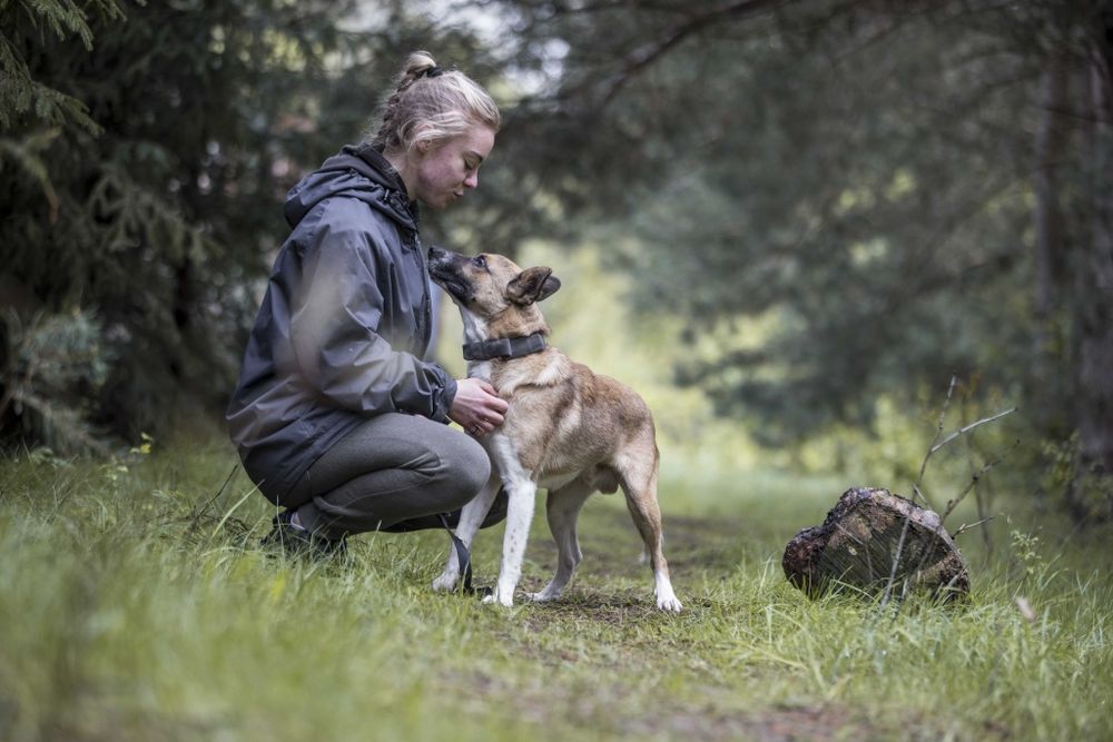 ANDRUT – 3-letni przyjaciel na całe życie, adoptuj!