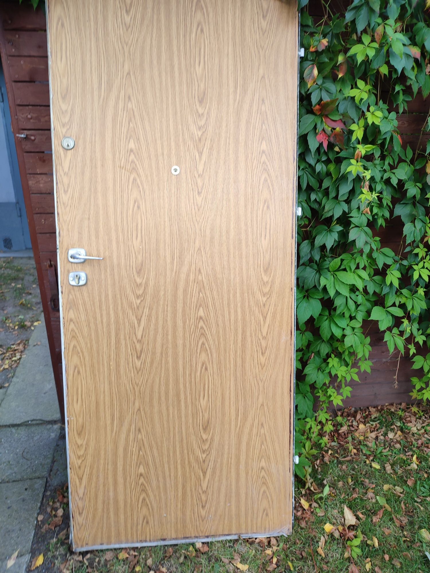 drzwi wejściowe drewniane 80