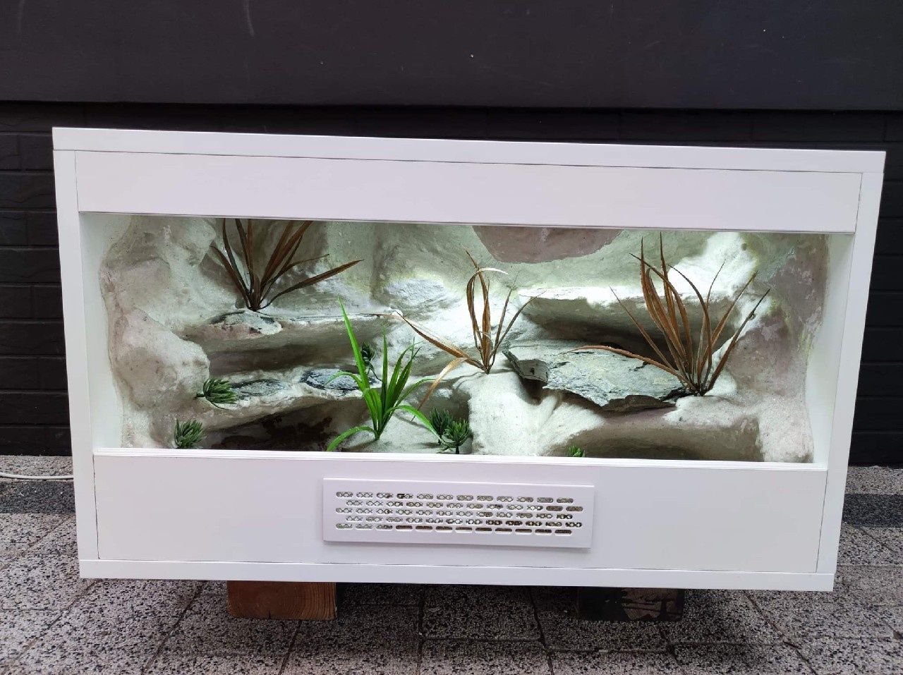 Terrarium gekon lamparci jaszczurka PETMARKET