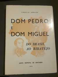 Dom Pedro e Dom Miguel / O Incrível Comboio Larmanjat