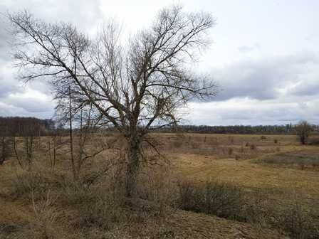 Будинок -дача с-ще Холодне, біля м.Золотоноша.