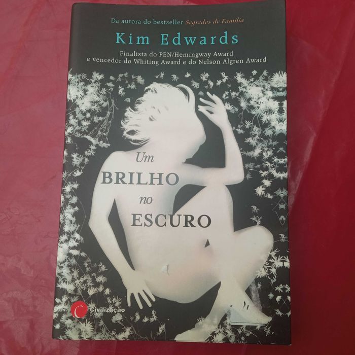 Livro: Um brilho no escuro