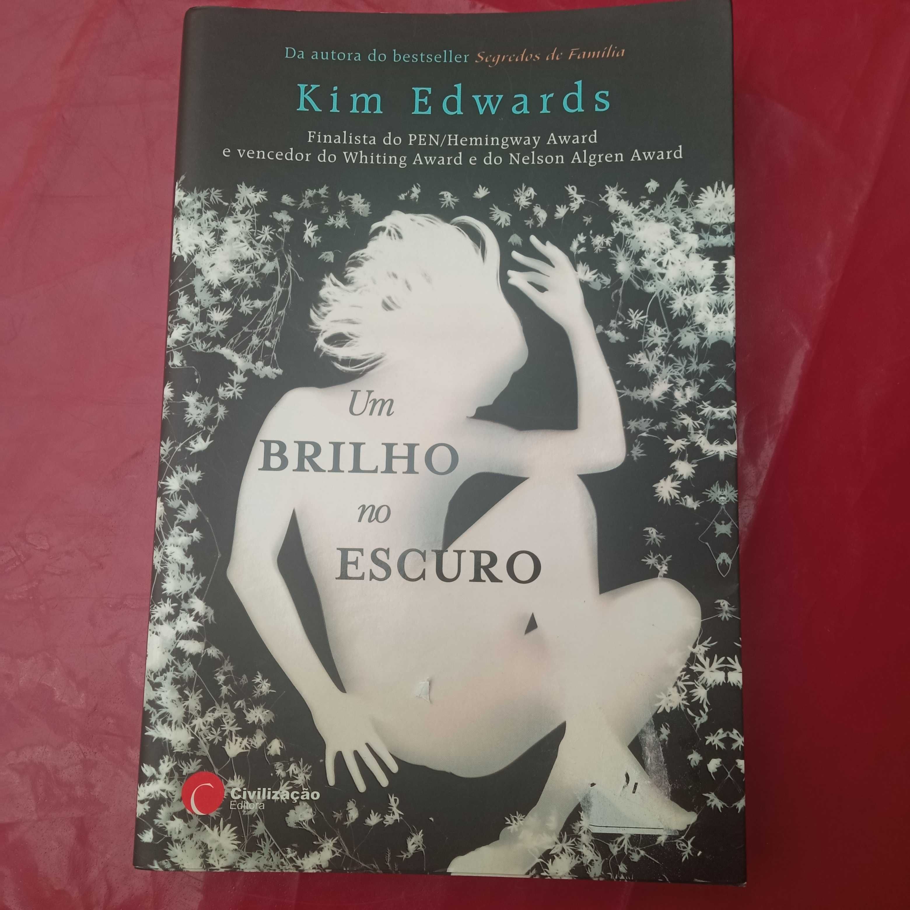 Livro: Um brilho no escuro