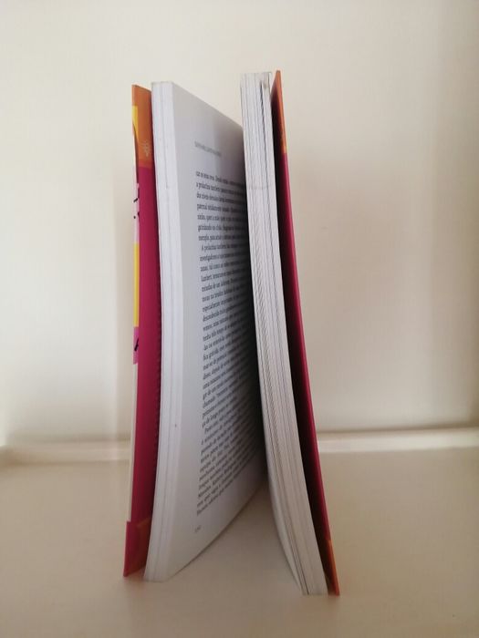 Livro Super Mães,  Super Mulheres, Katherine Ellison