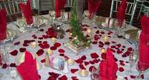 Conjunto de 1000 Pétalas Decorativas
