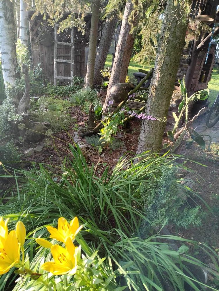 Usługi ogrodnicze-koszenie trawy, pomoc w ogrodzie i inne prace