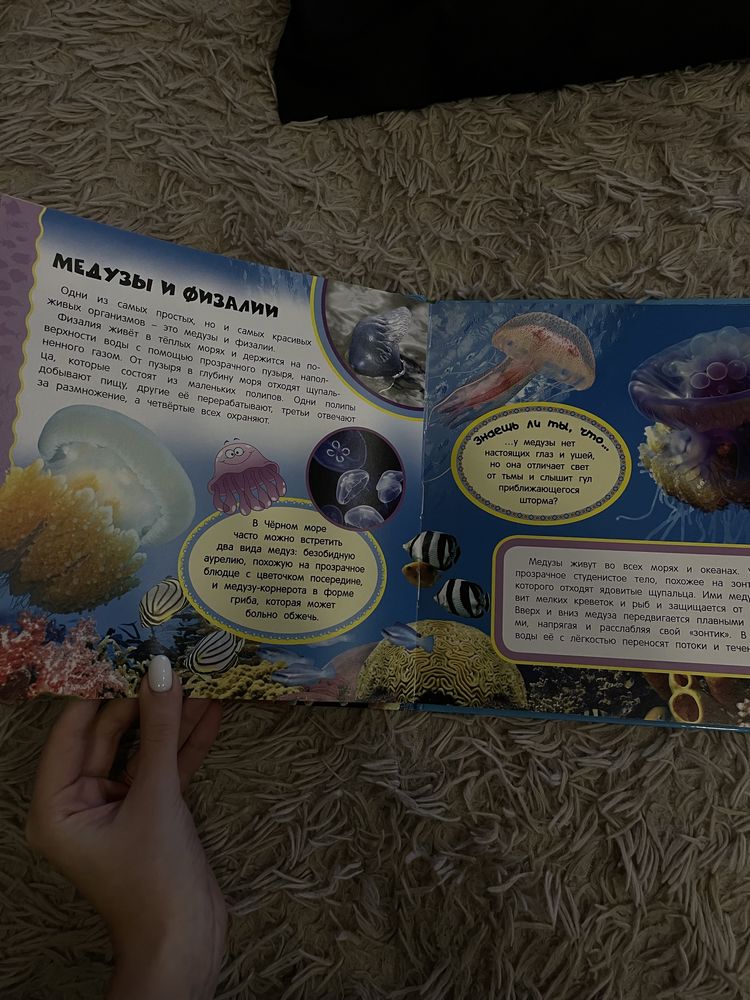 книжка «Подводный мир» для детей