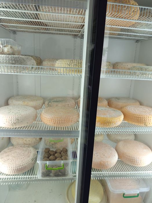 Козиний сир, крафтове сироваріння та інша продукція з козиного молока
