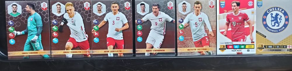 Kart piłkarskie PANINI