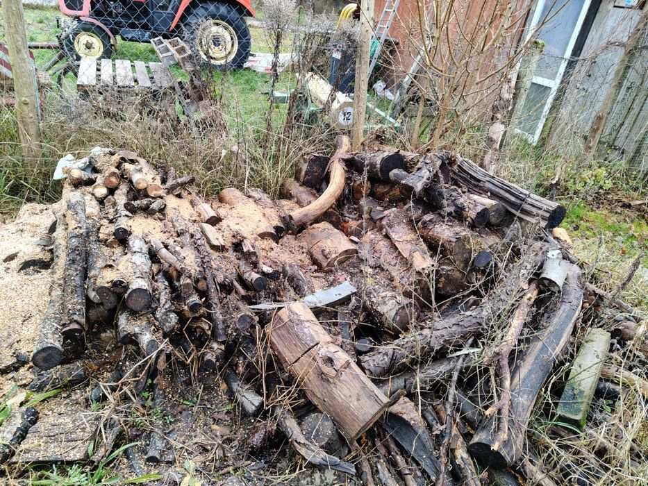 Oddam za darmo drewno