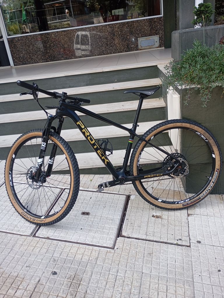 Bicicleta PROTEK V9.C