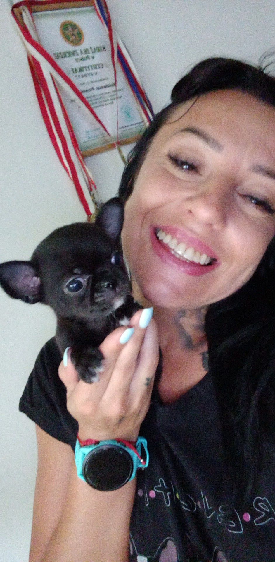 Chihuahua chlopiec jak laleczka mini mini