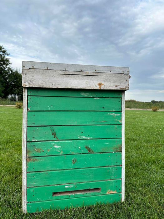 Ul Warszawski Poszerzany - 11 ramkowy z miejscem na nadstawkę