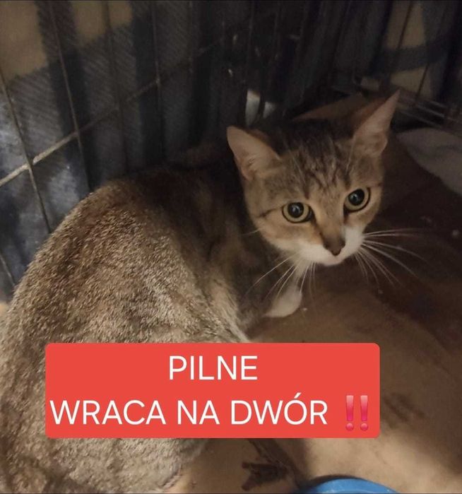 Pomóżcie uratować TRUSIĘ