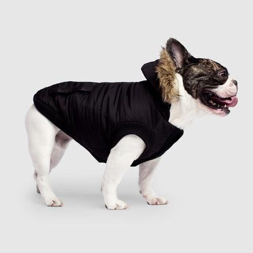 Куртка на собаку