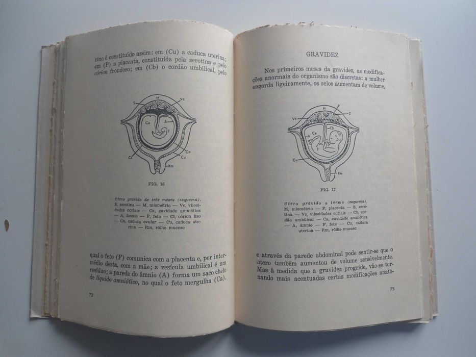 A Higiene da Mulher por Ramiro da Fonseca