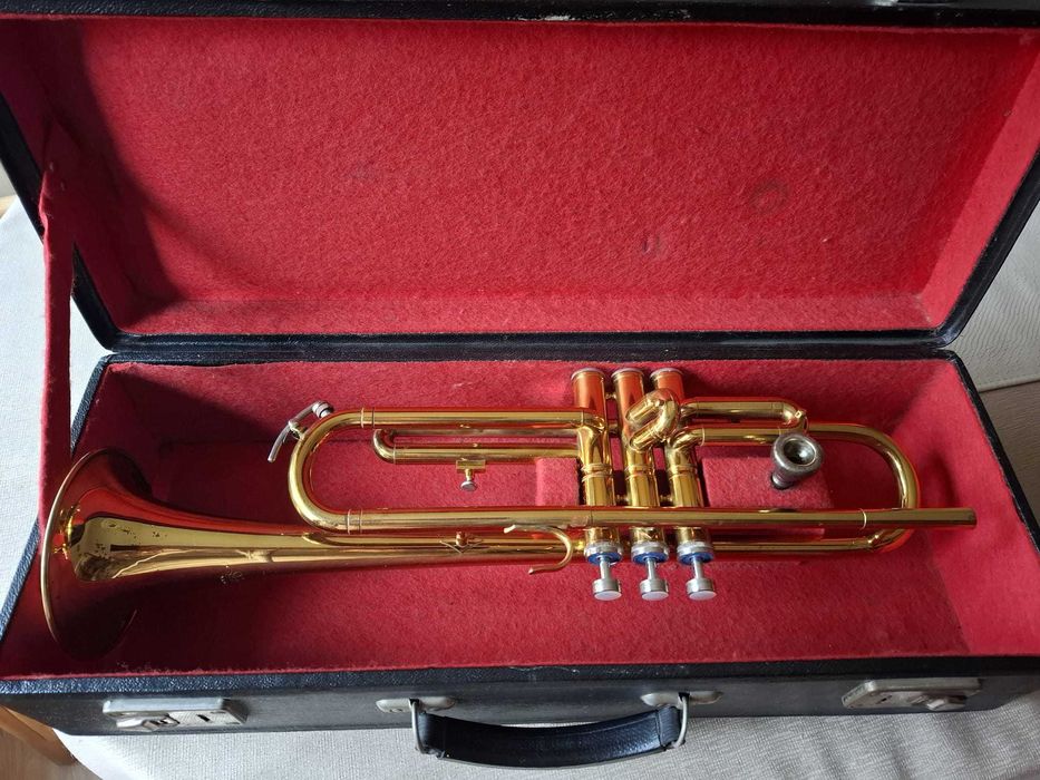 trąbka amati kraslice