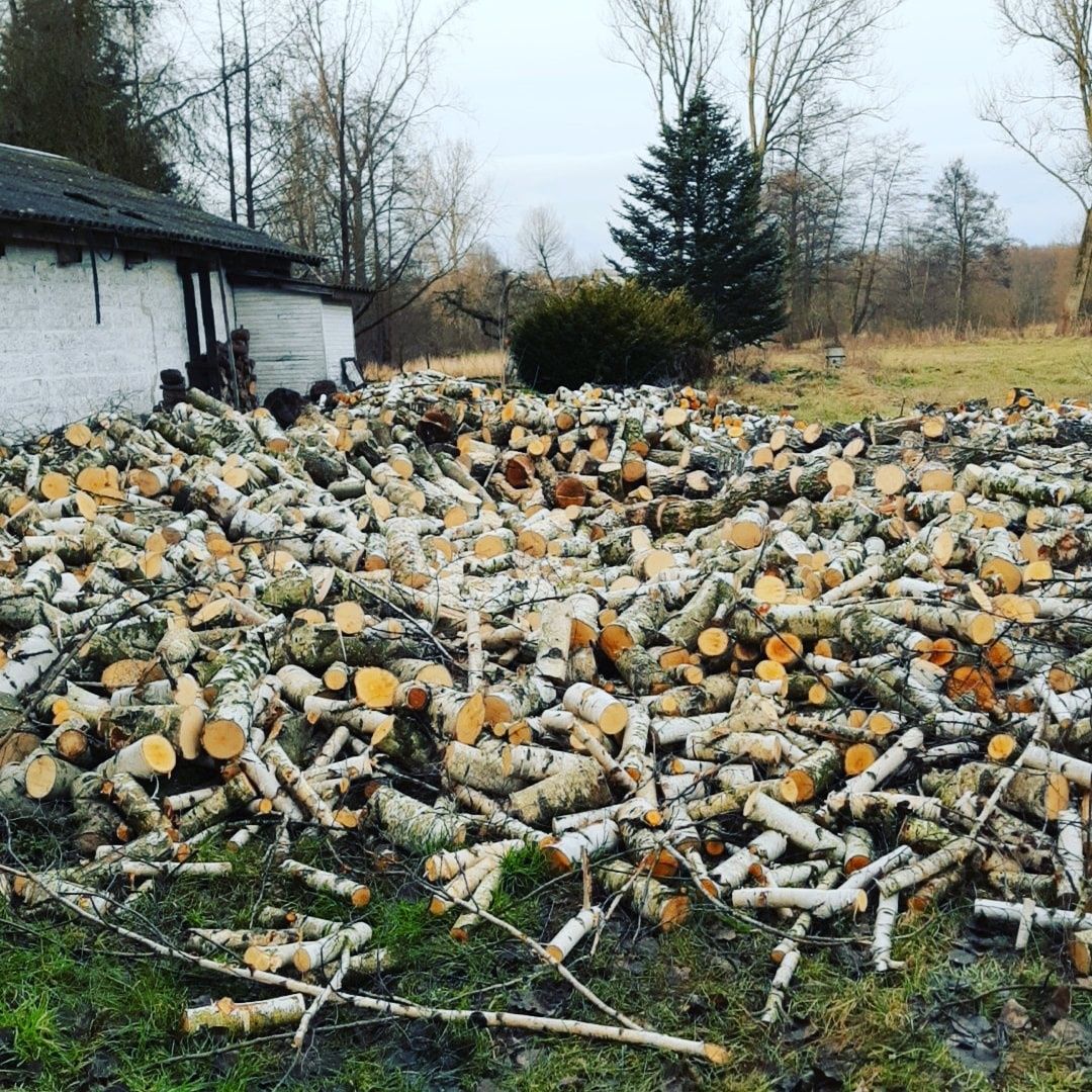 wycinka drzew, cięcie i rąbanie drewna