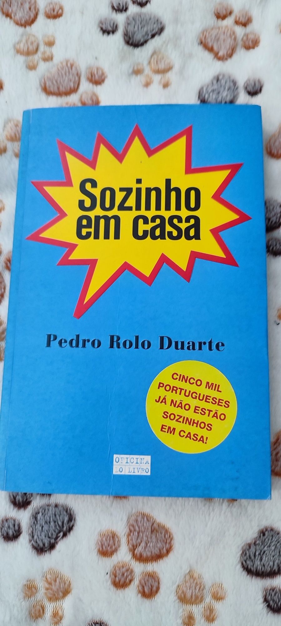 Sozinho em casa *****