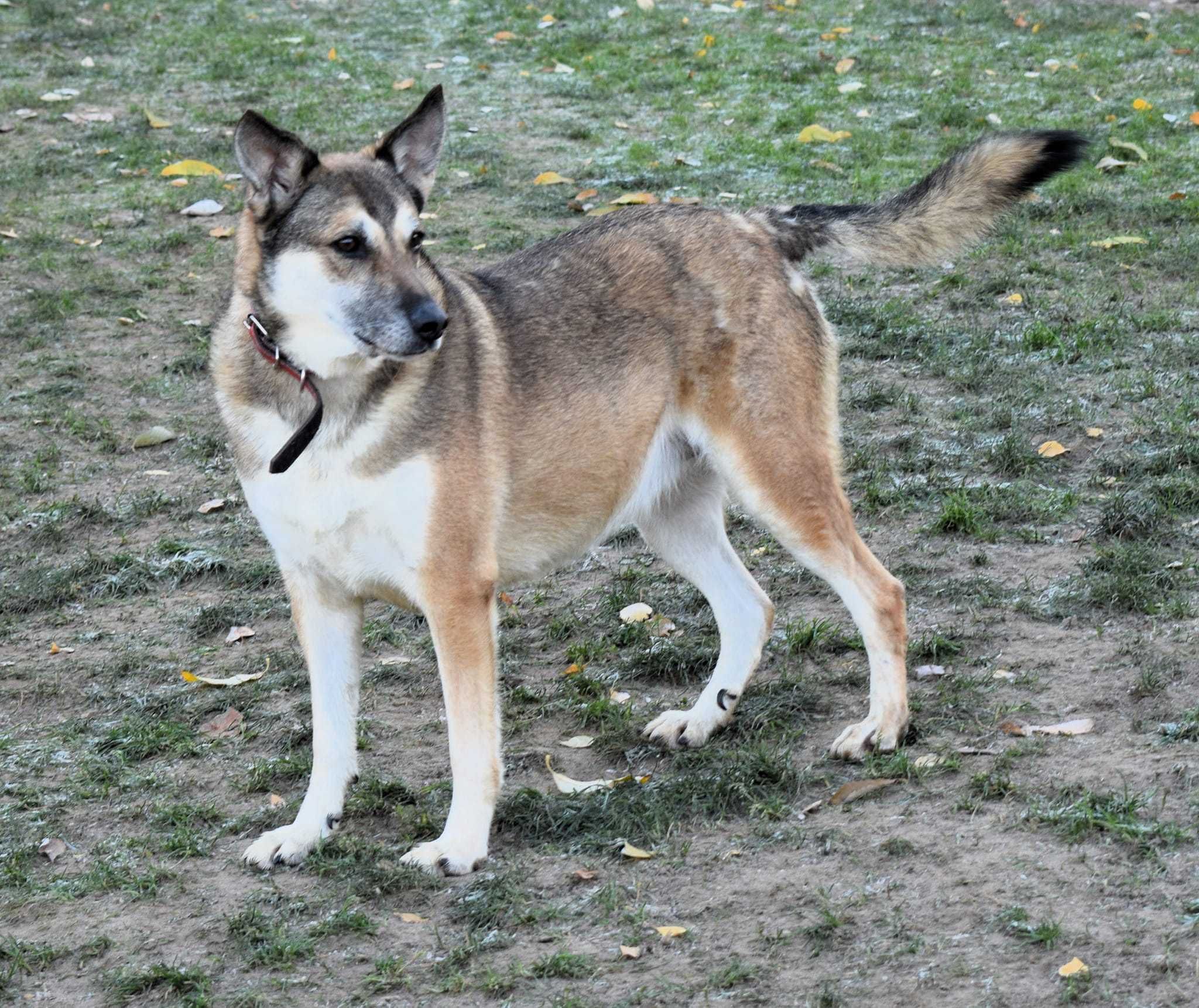 Luna i Rufus - Mają tylko siebie na tym niesprawiedliwym świecie