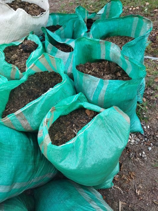 Czysty obornik koński naturalny najlepszy nawóz - workowany