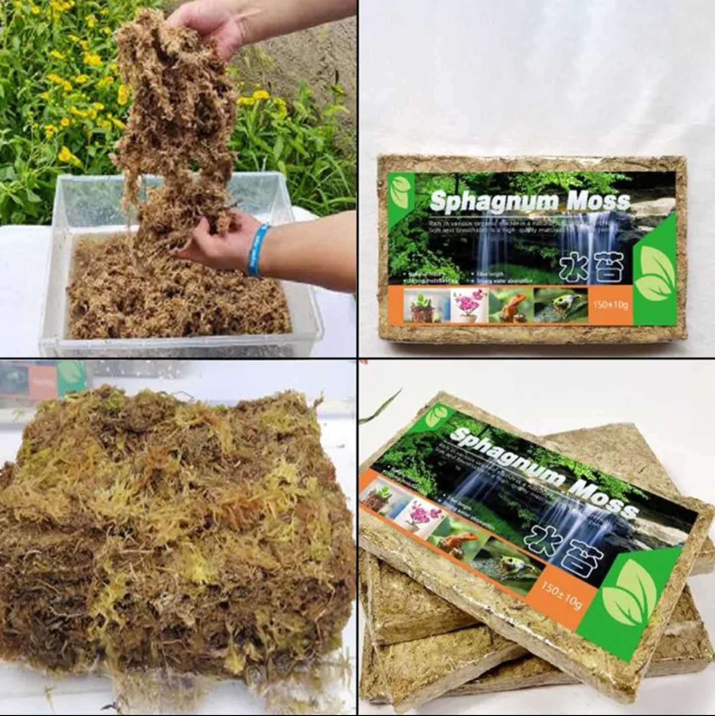 Mech Torfowiec Spagnum Sphagnum Moss 12L 150 Gram