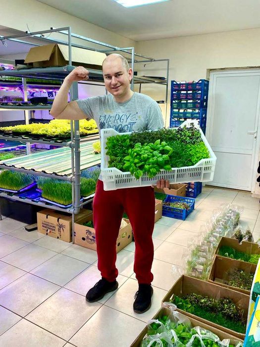 Бізнес мікрозелень, навчання вирощуванню мікрозелені, запуск ферми