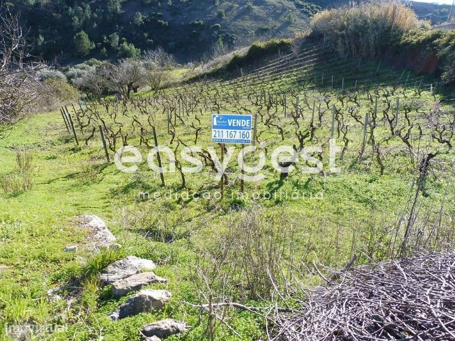 Terreno na Calhandriz