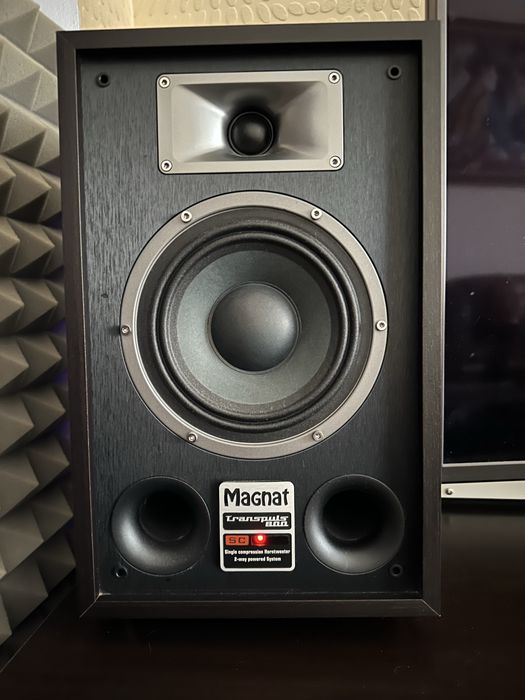 Активная акустика Magnat Transpuls 800a