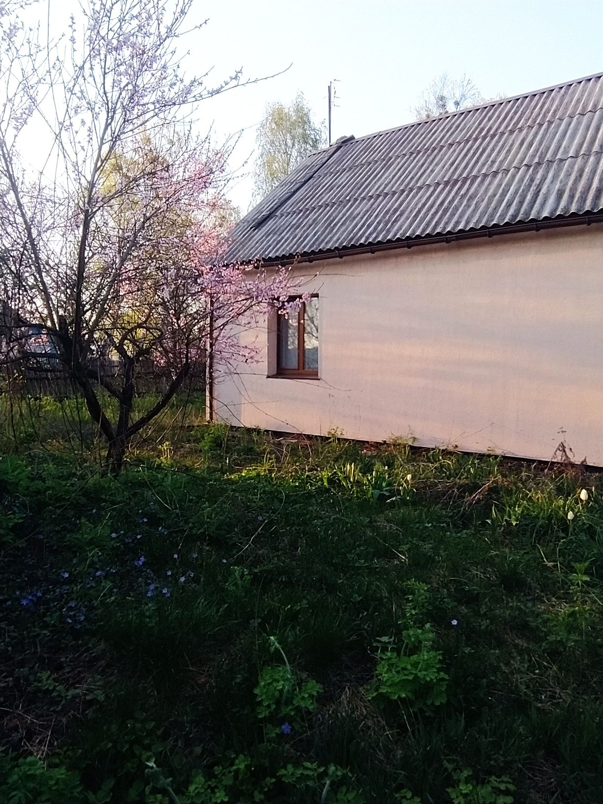 Продаж будинку в мальовничому місці село Нове Залісся.