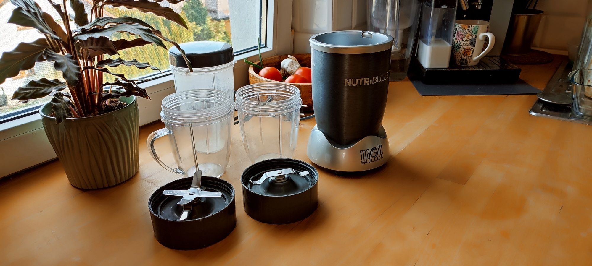 Nutribulett 800W