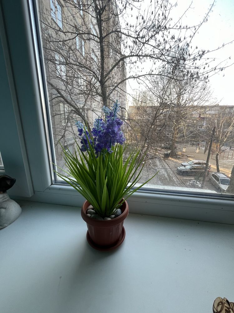 ‼️Срочно! Продам 1-к. квартиру, Соляные/Школьная!