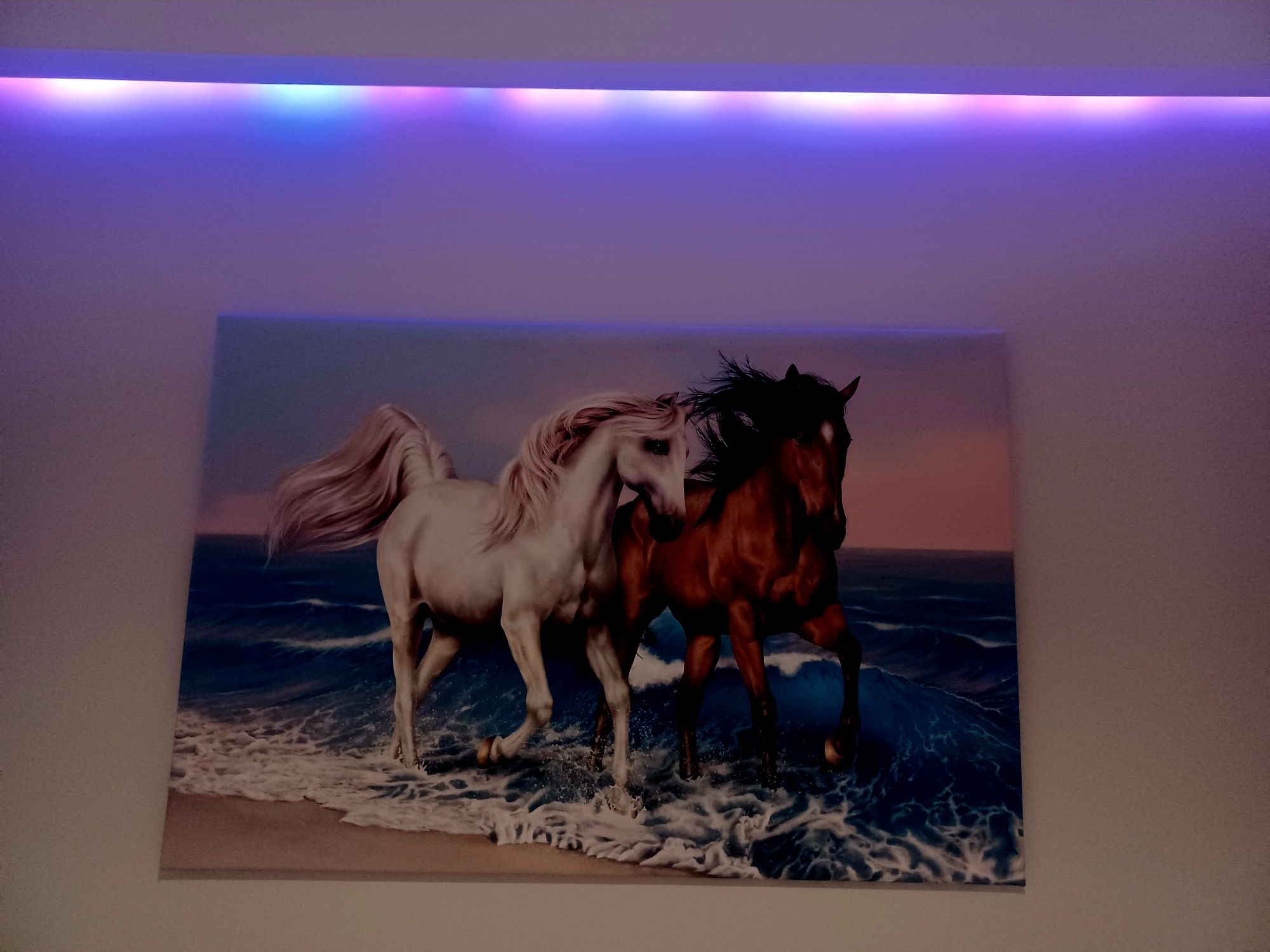 Obraz konie duży 120cm x 80