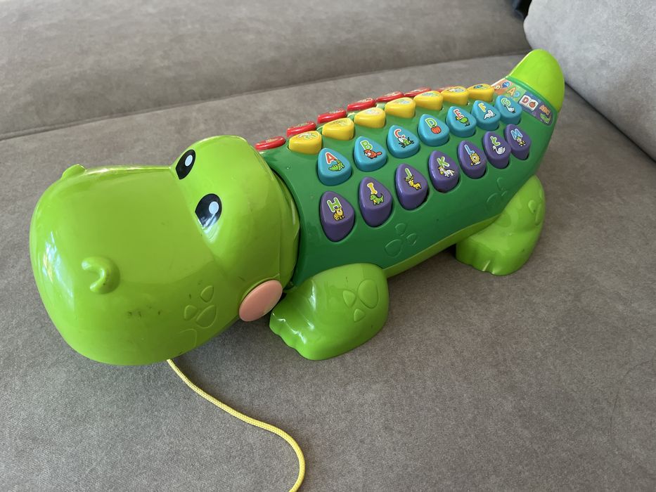 Edukacyjny aligator