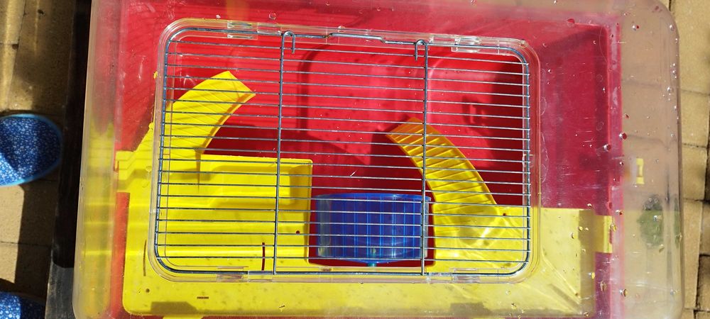 Gaiola para hamster