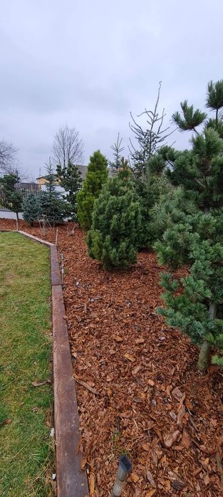 Kora sosnowa w workach i ziemia ogrodowa