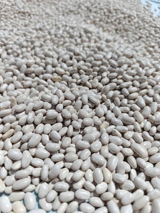 Feijão branco/ caseiro